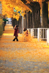 秋の色葉につつまれて＾＾