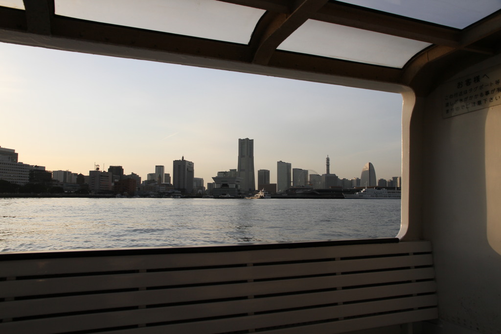 シーバスがいい感じ