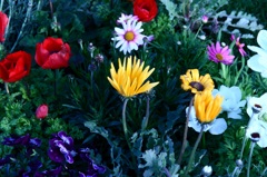 アトラクションっぽく・・