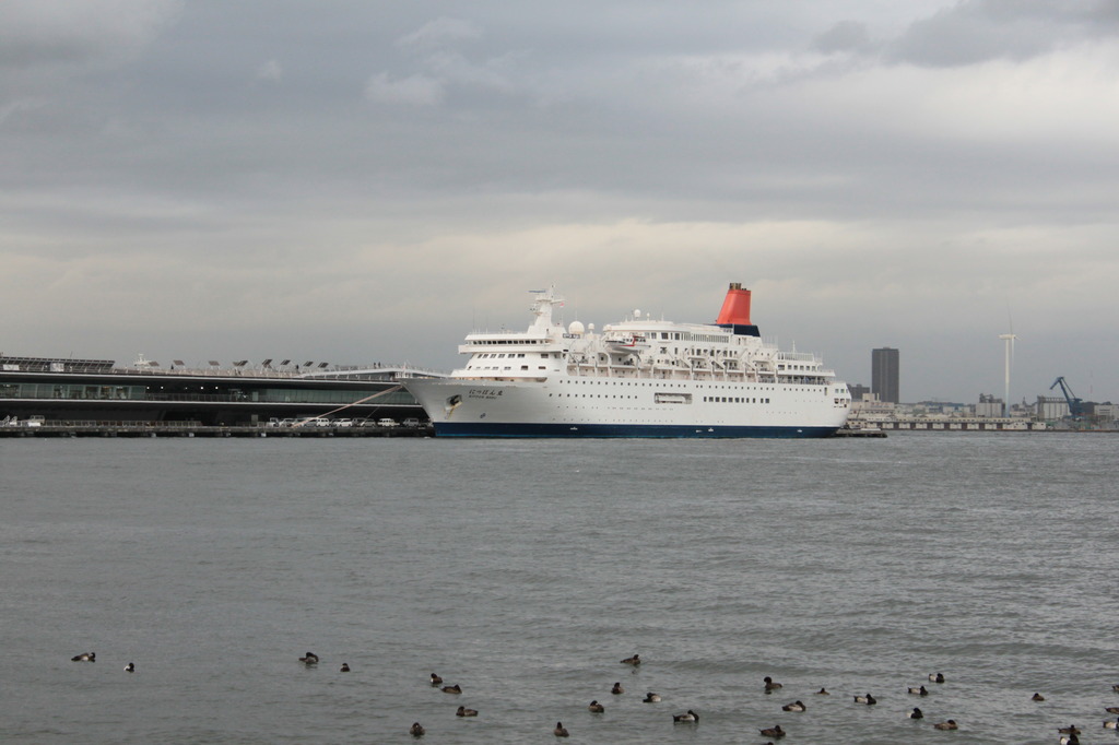 山下公園にて　大桟橋に停泊する船