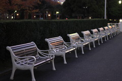 山下公園のベンチ（２）