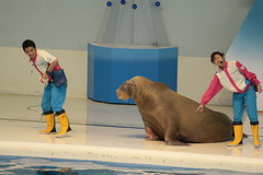 そんなの関係ねえ