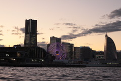 シーバスから・・・