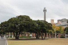 マリンタワー２００９