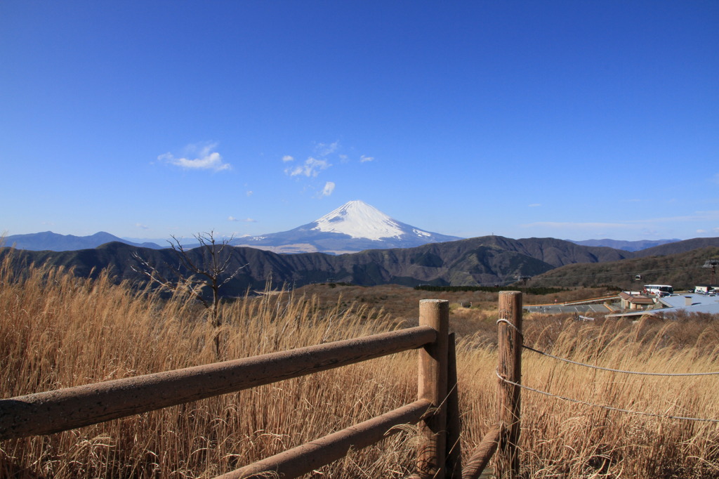 柵と富士