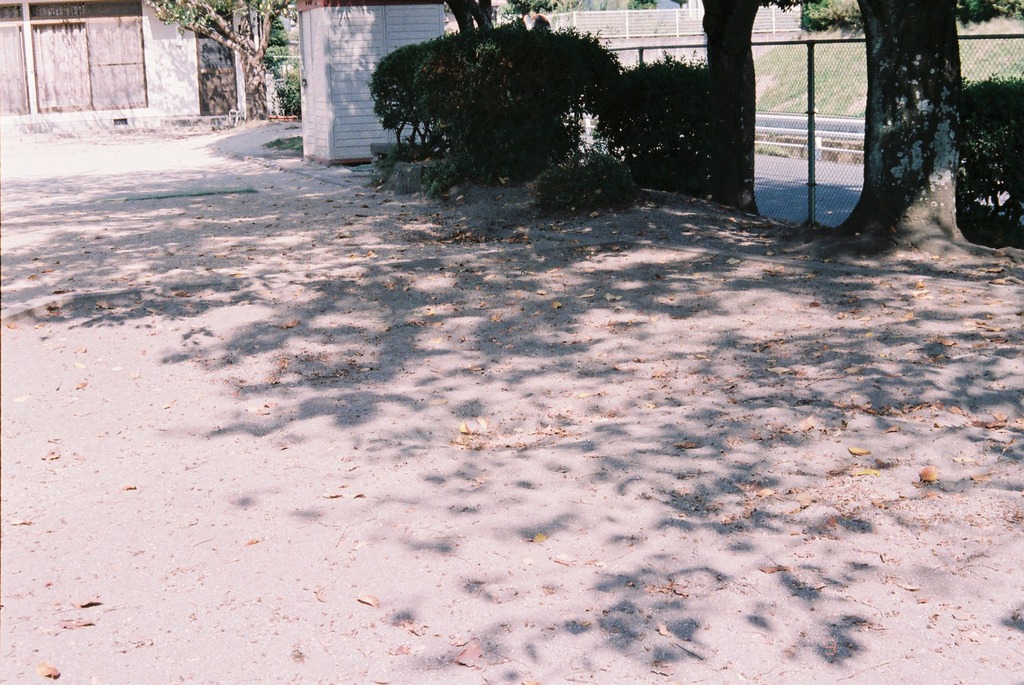 公園