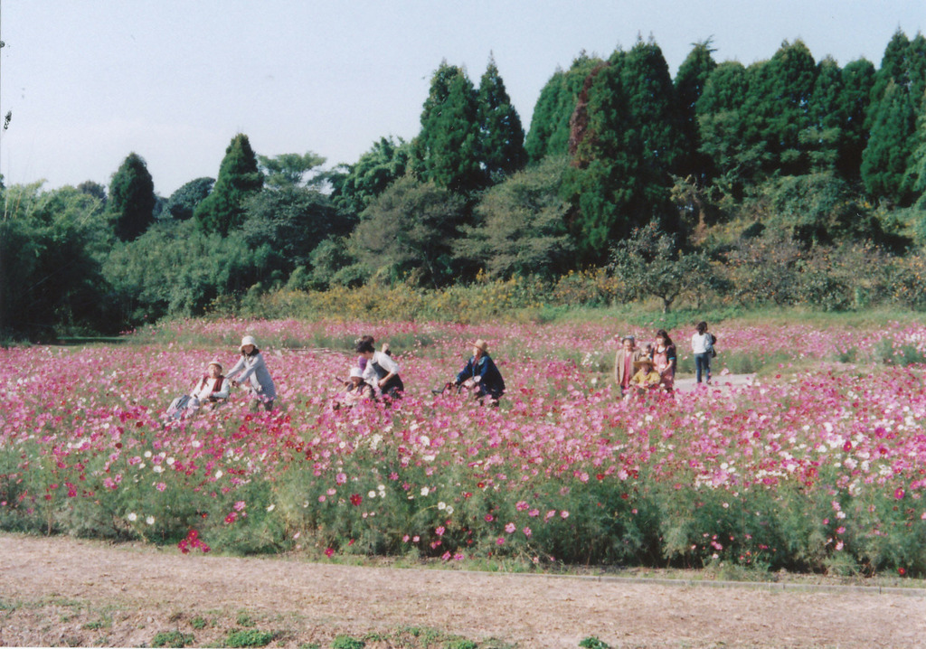 お散歩