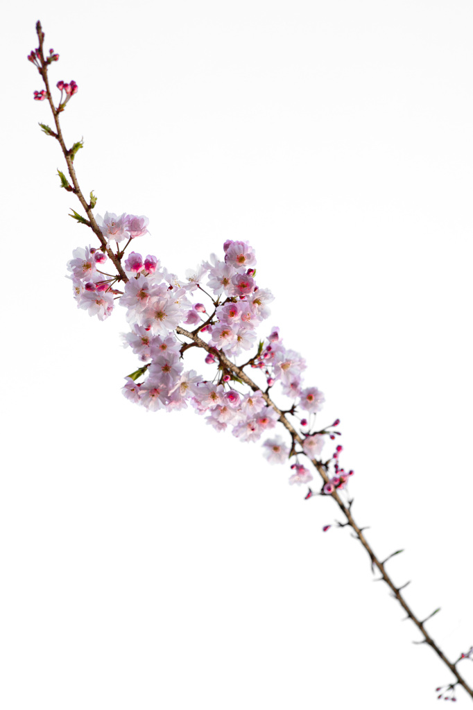 2013-03-23 16-17-32