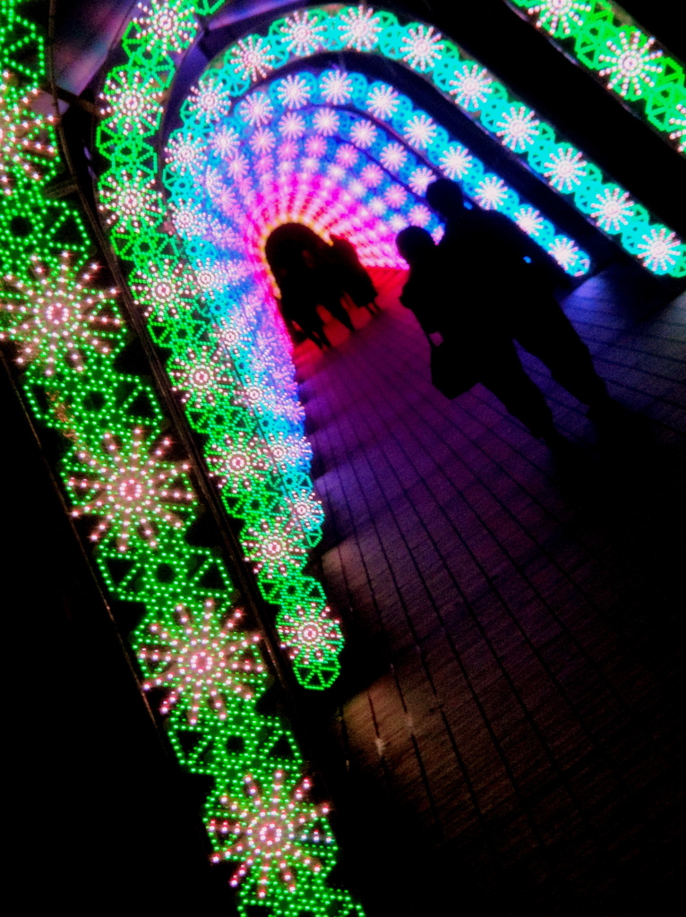 2009-11-14 20-24-14