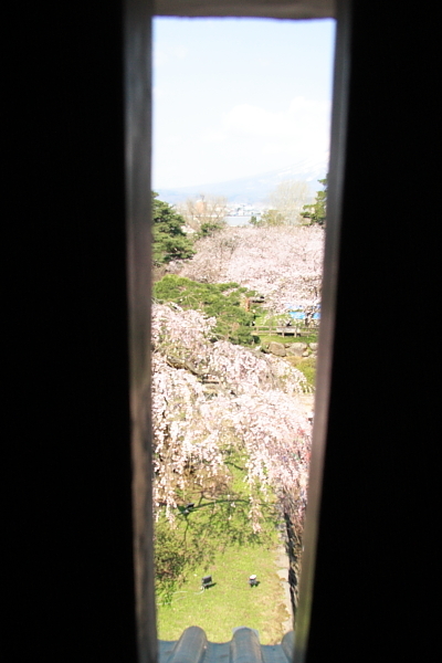 弘前さくらまつり！！