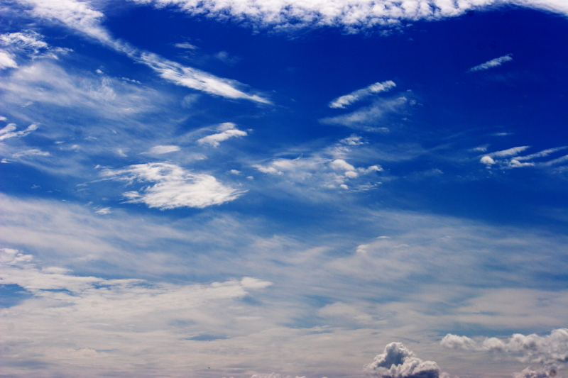 夏の空