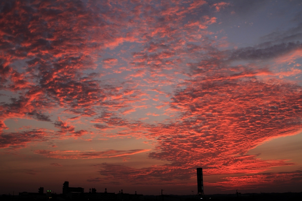 金目鯛の空