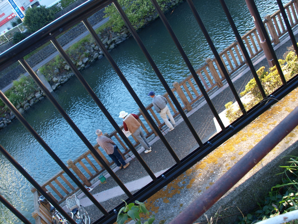 うまいことおさまった