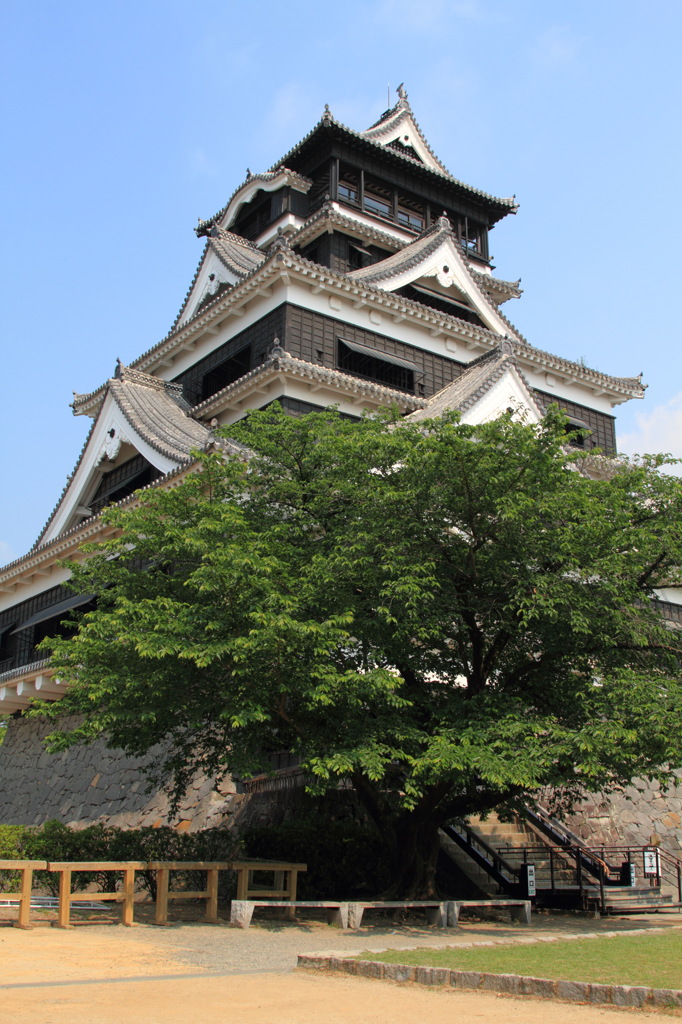熊本城