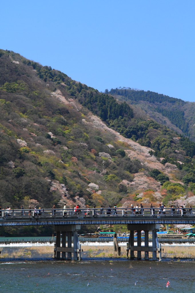 渡月橋