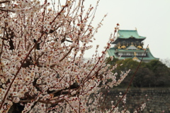 大阪城梅園