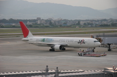 Boeing767-346(JA8253 愛・地球博)