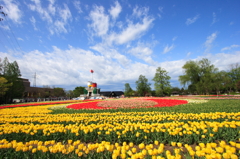 砺波市チューリップ公園