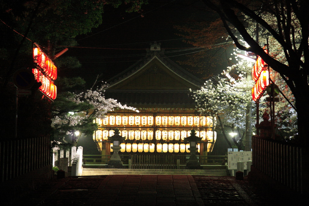 向日神社の夜桜