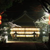 向日神社の夜桜