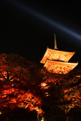 清水寺ライトアップ2005