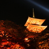 清水寺ライトアップ2005