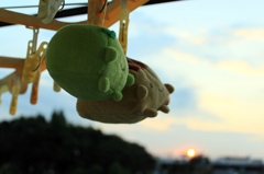 いい天気になりそうだね＾＾