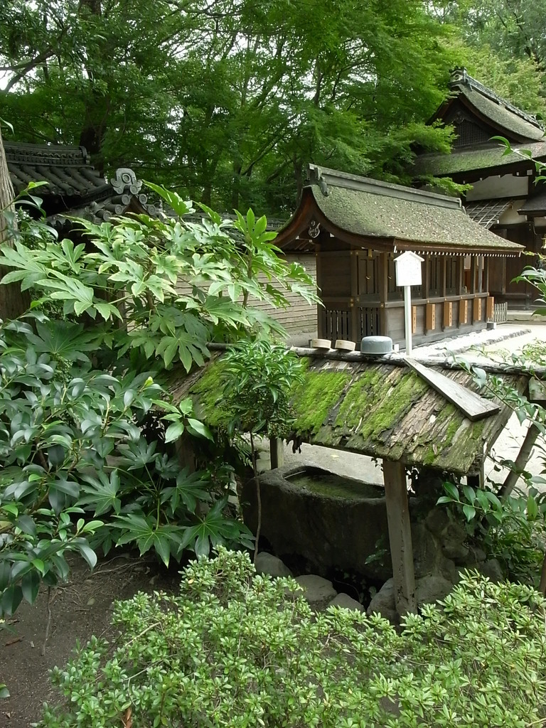 碧