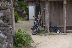 バイクと自転車