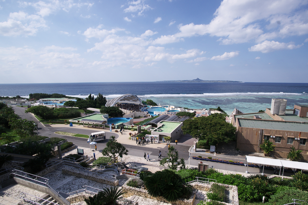 美ら海水族館