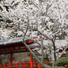 藻原寺　８