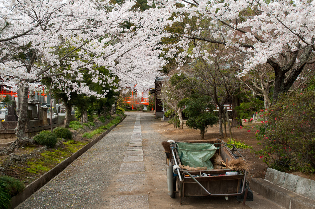 藻原寺　１０