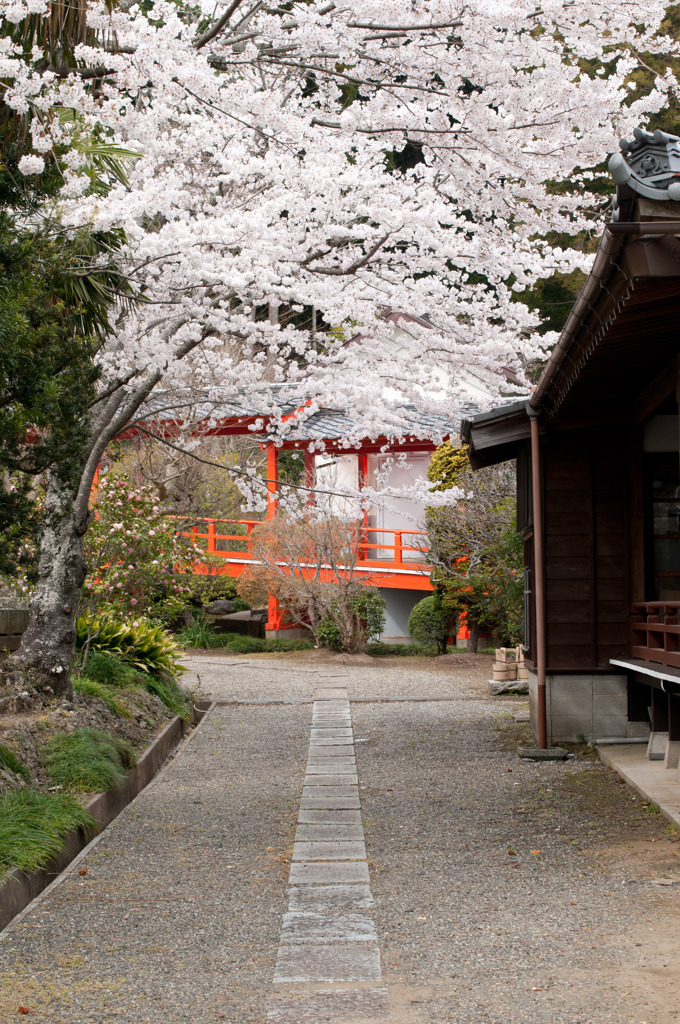 藻原寺　５