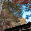 殿ヶ谷戸庭園２　６