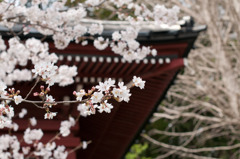 藻原寺　１