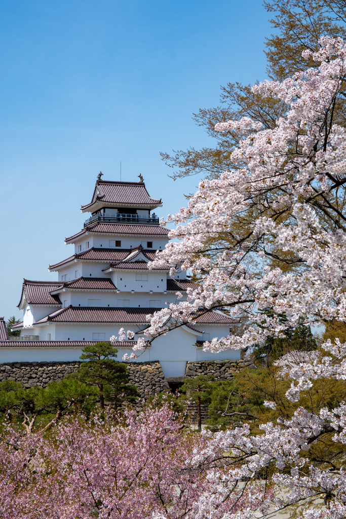 鶴ヶ城　２