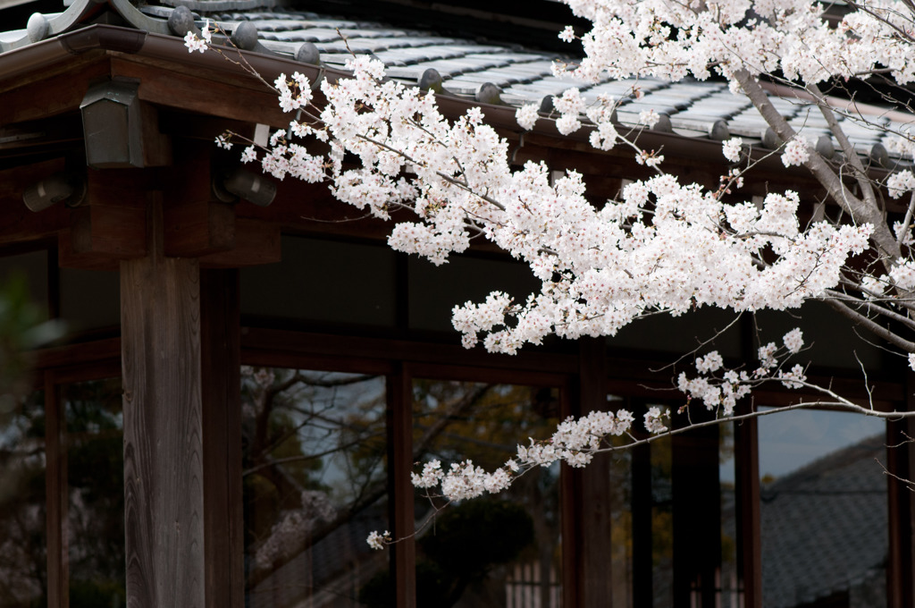 藻原寺　７