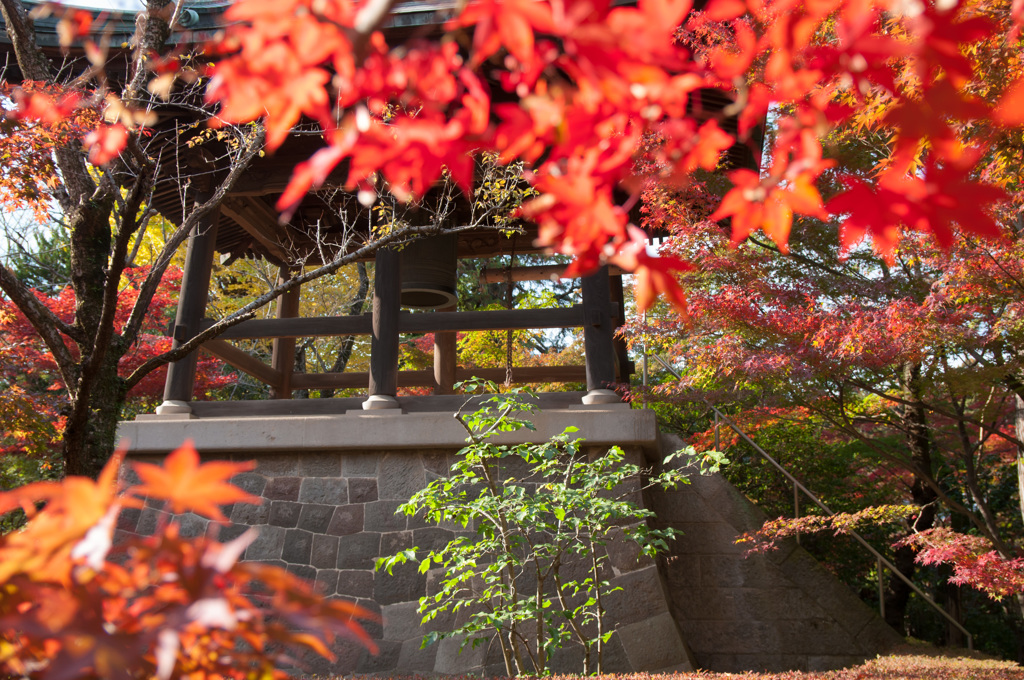 平林寺　1