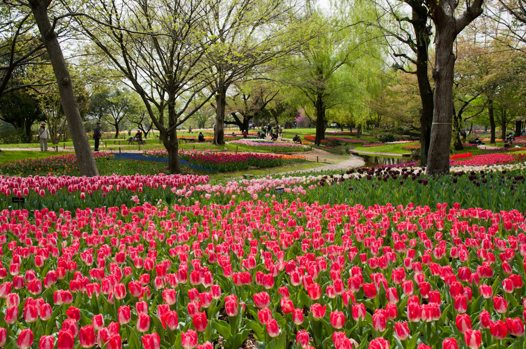 昭和記念公園