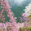 龍珠院　１