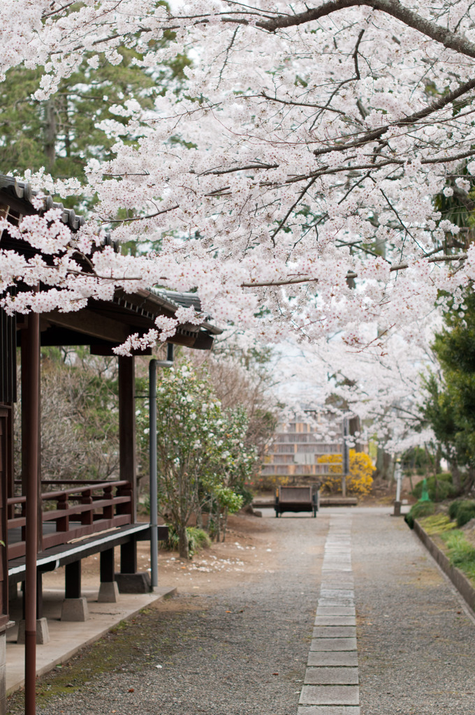 藻原寺　４