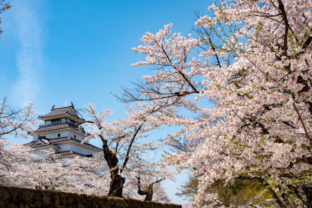 鶴ヶ城　１