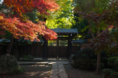 平林寺　2