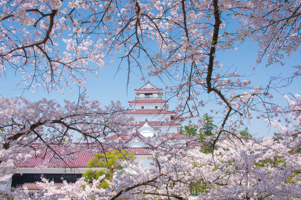 鶴ヶ城　３