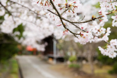 藻原寺5