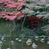 小石川後楽園　６