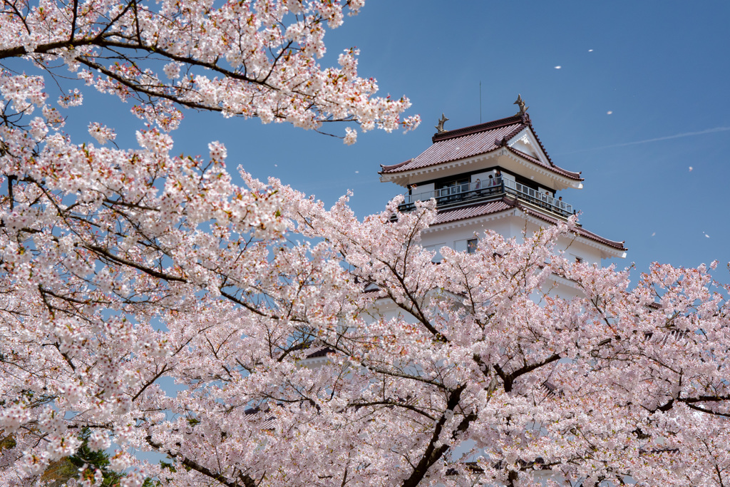 鶴ヶ城　４