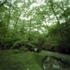 pinhole_c203wp