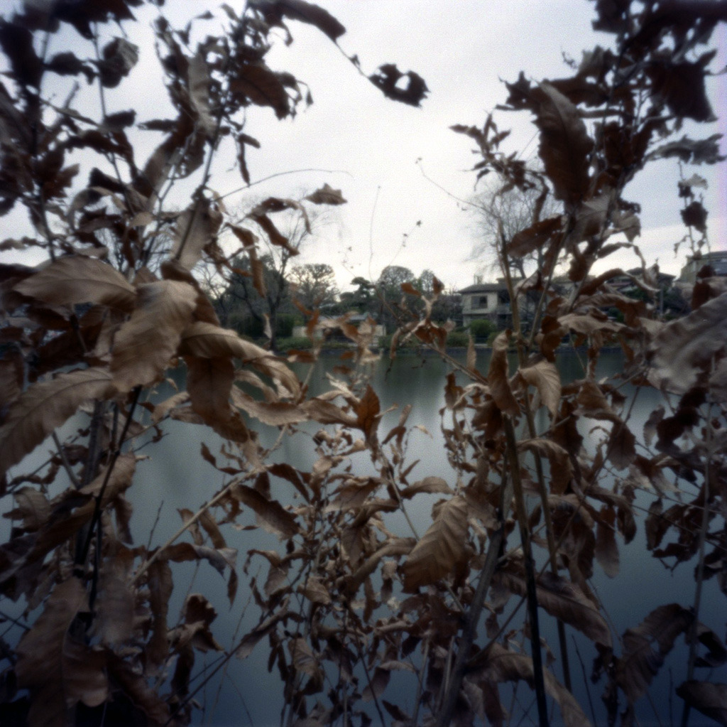 pinhole_c210wp