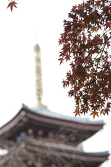 五重塔
